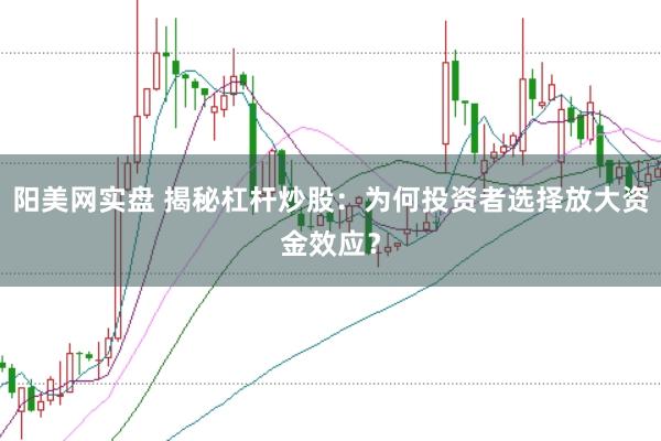 阳美网实盘 揭秘杠杆炒股：为何投资者选择放大资金效应？