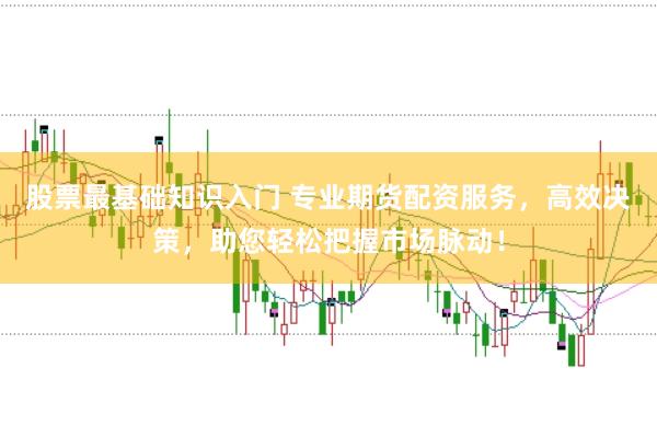 股票最基础知识入门 专业期货配资服务，高效决策，助您轻松把握市场脉动！