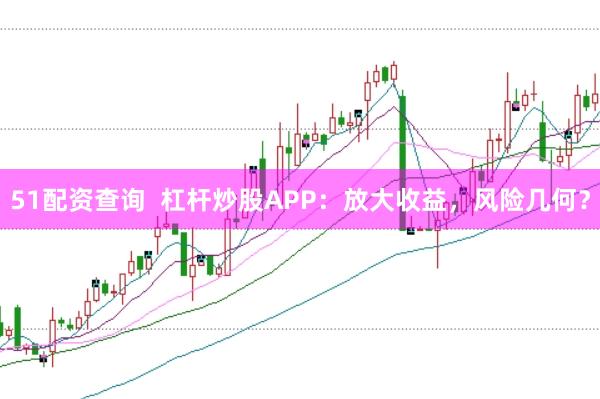 51配资查询  杠杆炒股APP：放大收益，风险几何？