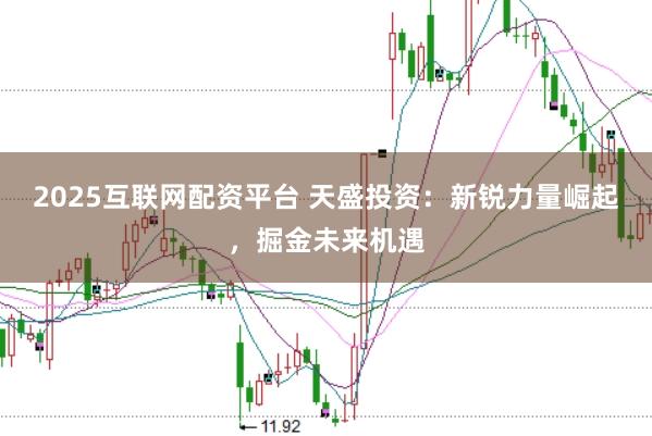 2025互联网配资平台 天盛投资：新锐力量崛起，掘金未来机遇