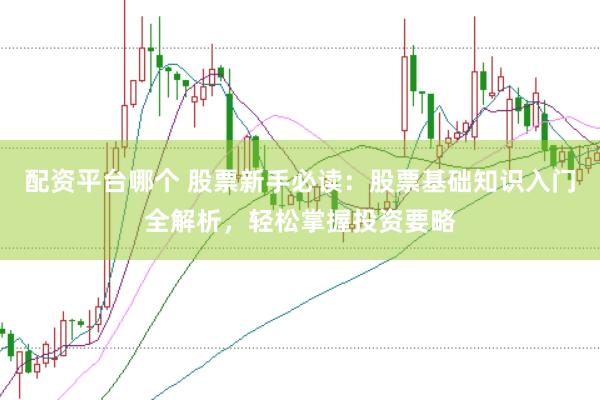 配资平台哪个 股票新手必读：股票基础知识入门全解析，轻松掌握投资要略