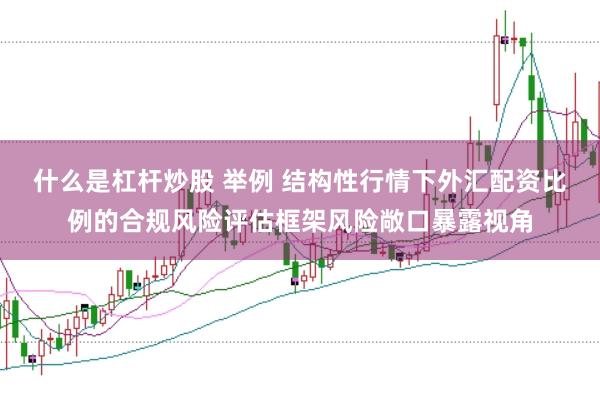 什么是杠杆炒股 举例 结构性行情下外汇配资比例的合规风险评估框架风险敞口暴露视角