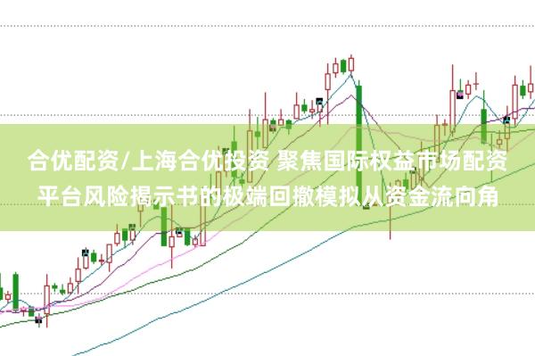 合优配资/上海合优投资 聚焦国际权益市场配资平台风险揭示书的极端回撤模拟从资金流向角