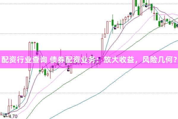 配资行业查询 债券配资业务：放大收益，风险几何？